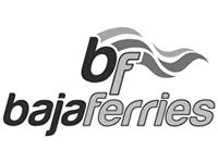 customer logo